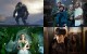 Les 20 films de l'été
