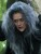 INTO THE WOODS: première image d'une Meryl Streep transformée