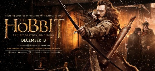 LE HOBBIT, LA DESOLATION DE SMAUG: trois nouvelles bannières