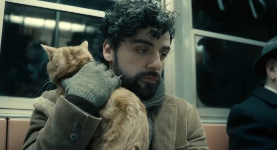 INSIDE LLEWYN DAVIS: un chat roux maître du Festival de Cannes