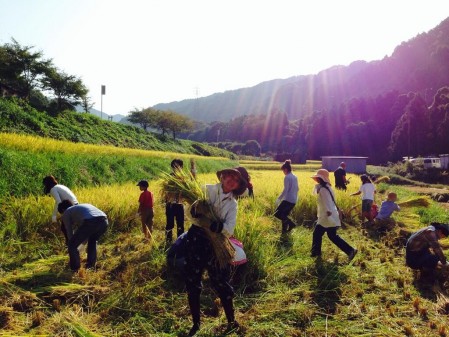 STILL THE WATER: premières images de tournage du prochain Naomi Kawase