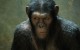 BOX-OFFICE US: un triomphe pour les singes