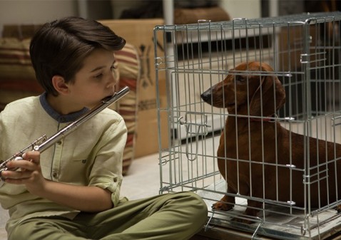 WIENER DOG: premières images du nouveau Todd Solondz avec Greta Gerwig et Julie Delpy