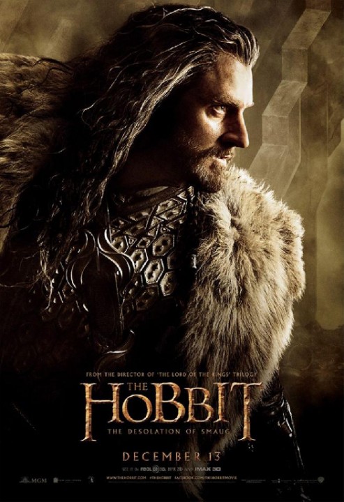 LE HOBBIT, LA DESOLATION DE SMAUG: 7 nouvelles affiches