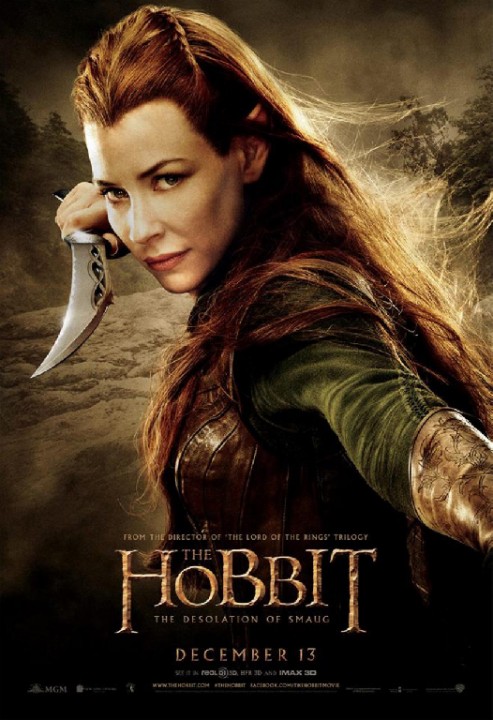 LE HOBBIT, LA DESOLATION DE SMAUG: 7 nouvelles affiches