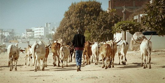 FESTIVAL BLACK MOVIE 2014: le palmarès