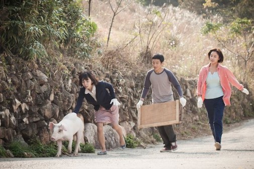 MY SISTER, THE PIG LADY: gros plan sur le film coréen primé au Festival d'Osaka