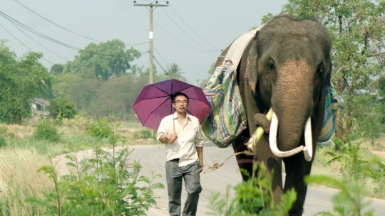 POP AYE: premières images surprenantes d'un film singapourien sélectionné à Sundance