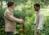 TWELVE YEARS A SLAVE: premières images du film avec Michael Fassbender et Brad Pitt