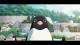 PENGUIN HIGHWAY: 1res images de l'anime japonais