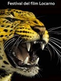 FESTIVAL DE LOCARNO 2014: la compétition en images