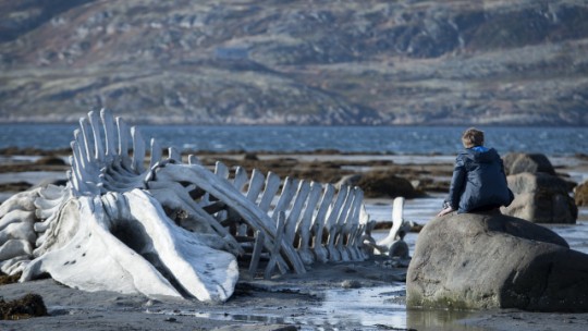 LEVIATHAN: première image du nouvel Andrei Zvyagintsev